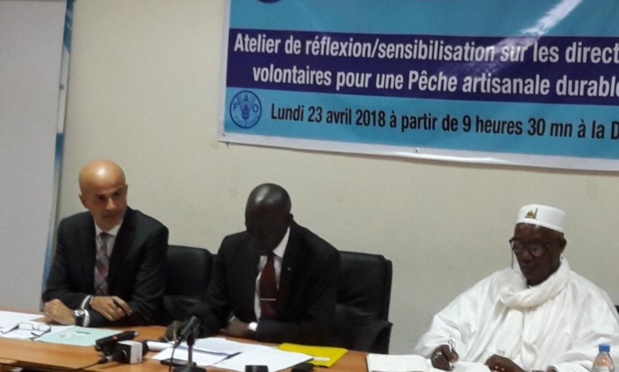 Exportations des produits d'origine sénégalaise: la pêche artisanale représente 83% des débarquements en 2017 selon la Fao