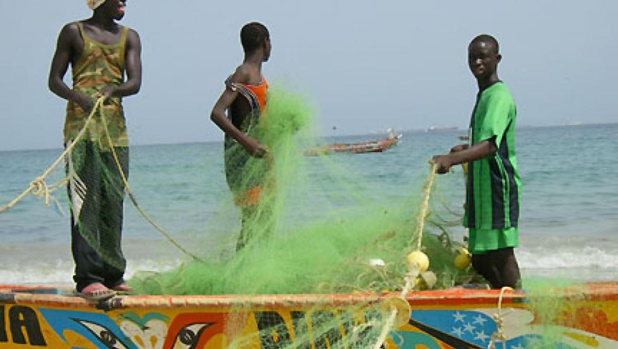 La pêche artisanale reste ‘’un filet de sécurité et de stabilité sociales’’