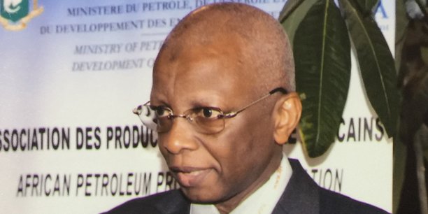 Mahaman Louan Gaya : «L’Afrique subit une pollution pétrolière provoquée et entretenue par les multinationales» Mahaman Louan Gaya : «L’Afrique subit une pollution pétrolière provoquée et entretenue par les multinationales»