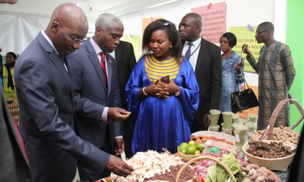 Entreprenariat : Lancement du projet ‘Feed the Future Sénégal Jeunesse en Agriculture’