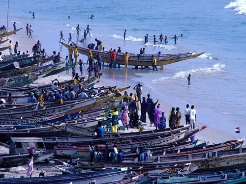 Vers la création du comité national consultatif de suivi des directives volontaires pour une pêche durable