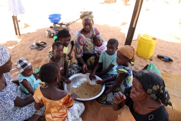 Lancement officiel Revue pour l’éradication de la faim : le Sénégal sur la bonne voie