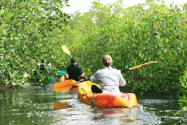Tourisme durable : un concours de dictée sur la promotion de l’écotourisme pour sensibiliser la jeune génération