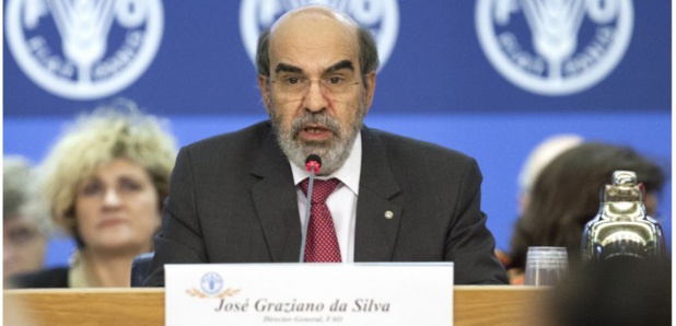 Prévention des conflits et paix durable :  Le directeur général de la Fao souligne l’importance de l’agriculture