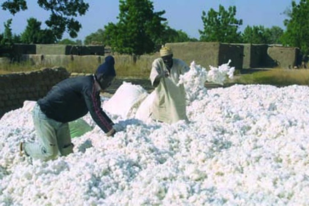 Sénégal : De bons résultats enregistrés au niveau de l’ « égrenage de coton et fabrication de textiles », des activités extractives