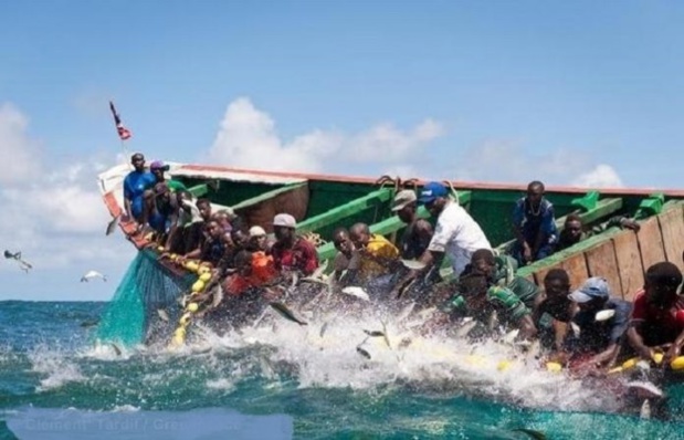 Mbour : les acteurs de la pêche artisanale saluent la signature d’un nouvel accord de pêche entre le Sénégal et la Mauritanie Mbour : les acteurs de la pêche artisanale saluent la signature d’un nouvel accord de pêche entre le Sénégal et la Mauritanie