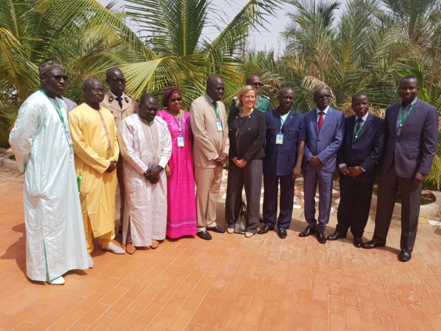 Lutte contre la déforestation : Mame Thierno Dieng en appelle à des actions concertées Lutte contre la déforestation : Mame Thierno Dieng en appelle à des actions concertées