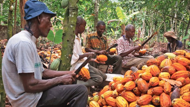 Les échanges commerciaux entre le Ghana et l’Inde pourraient atteindre 5 milliards de $ en 2020