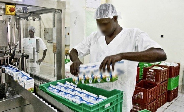 Sénégal : Chute de l’activité industrielle en Juin