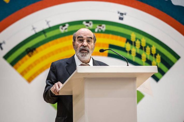 Promotion du développement durable : La Fao appelle à créer plus d’emplois pour les jeunes et l’accès aux Tic Promotion du développement durable : La Fao appelle à créer plus d’emplois pour les jeunes et l’accès aux Tic