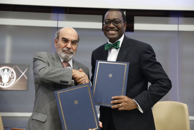 Investissements dans l’agriculture : La Bad et la Fao prévoient de mobiliser jusqu’à 100 millions de dollars Investissements dans l’agriculture : La Bad et la Fao prévoient de mobiliser jusqu’à 100 millions de dollars