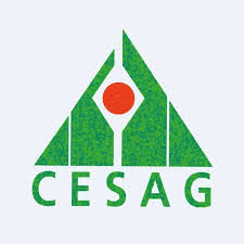 8ième conférence africaine de comptabilité et de finance: Le CESAG accueille l'événement en septembre 8ième conférence africaine de comptabilité et de finance: Le CESAG accueille l'événement en septembre