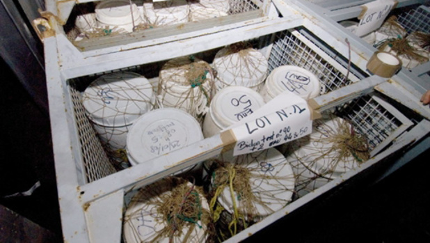 Afrique de l'Ouest: Une loi type pour humaniser la lutte contre les drogues sera soumise aux chefs d'Etat de la CEDEAO Afrique de l'Ouest: Une loi type pour humaniser la lutte contre les drogues sera soumise aux chefs d'Etat de la CEDEAO