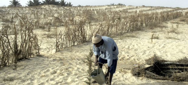 Le Sénégal, deuxième pays d’Afrique à adhérer à la Convention sur l’eau