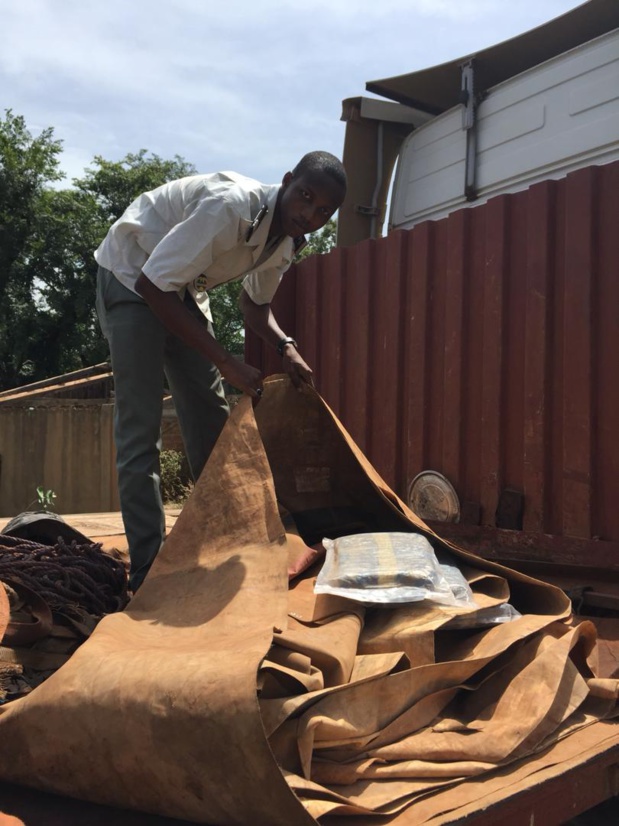 Lutte contre les produits stupéfiants et les faux médicaments : Plusieurs saisies effectuées à Kédougou, Joal, Matam et Linguère