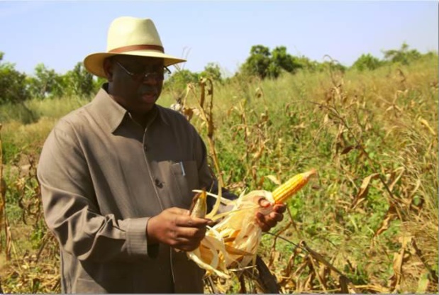 Vision, engagement pour l’agriculture : Macky Sall reçoit la médaille d’or de l’Académie d’agriculture de France