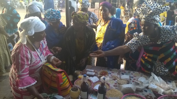 Une campagne Pan Africaine pour des politiques alimentaires économiquement viables en vue Une campagne Pan Africaine pour des politiques alimentaires économiquement viables en vue