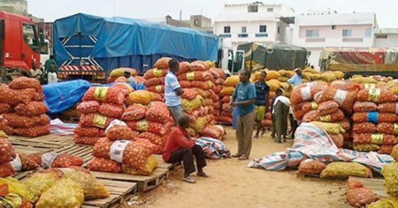 Sénégal: Contraction de l’activité économique interne en septembre 2018