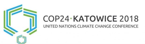 Compte à rebours pour la COP24 : La CEA soutient les États membres à tous les niveaux