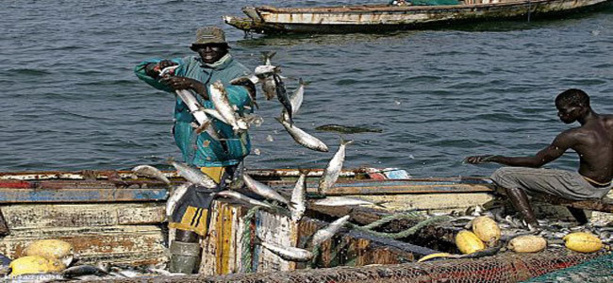 LENTEURS DANS LE RENOUVELLEMENT DES LICENCES AVEC LA MAURITANIE : Près de 8 000 pêcheurs de Saint-Louis au chômage