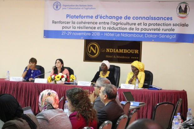 Cohérence entre agriculture et protection sociale : Des acteurs partagent les bonnes pratiques Cohérence entre agriculture et protection sociale : Des acteurs partagent les bonnes pratiques