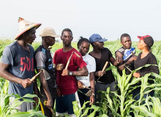 Réduction de l’émigration rurale dans le Bassin arachidier :  L’Agence belge Enabel poursuit sa campagne de sensibilisation