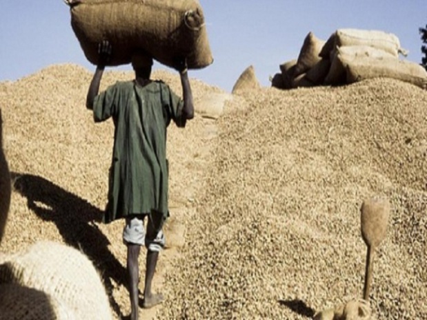 Agriculture: Macky Sall souhaite une campagne sans faute
