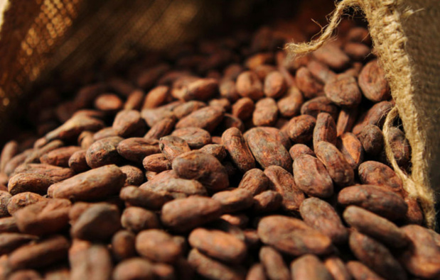 Gestion de la filière Cacao : La Côte d’Ivoire et le Ghana définissent un prix plancher Gestion de la filière Cacao : La Côte d’Ivoire et le Ghana définissent un prix plancher