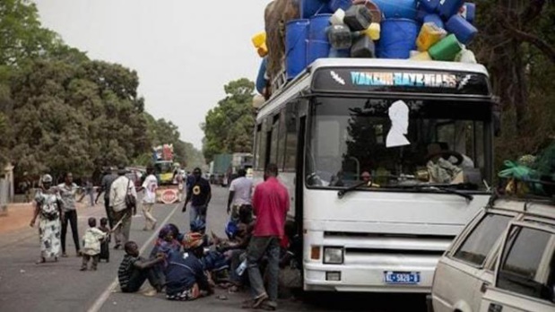 Immigration internationale : Les Guinéens sont les plus nombreux au Sénégal Immigration internationale : Les Guinéens sont les plus nombreux au Sénégal