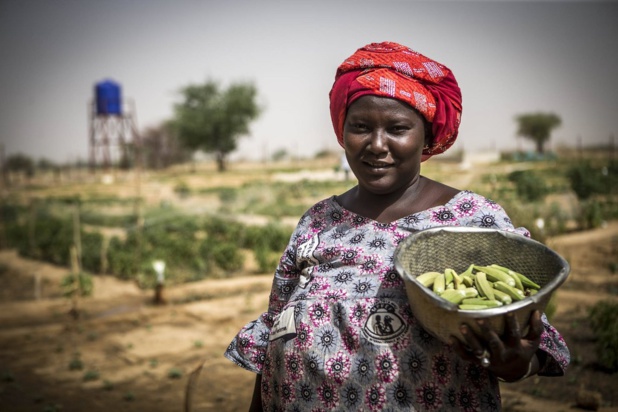 Photo MINUSMA/Harandane Dicko Une femme au Mali avec des légumes qu'elle a récoltés. Photo MINUSMA/Harandane Dicko Une femme au Mali avec des légumes qu'elle a récoltés.