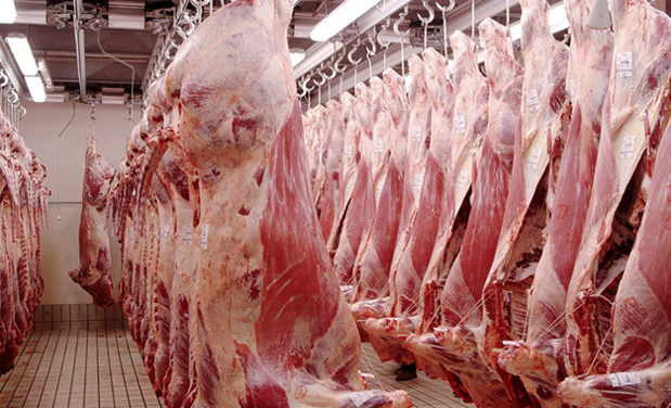 Sénégal : Bonne tenue de l’activité d’élevage au quatrième trimestre 2018 Sénégal : Bonne tenue de l’activité d’élevage au quatrième trimestre 2018