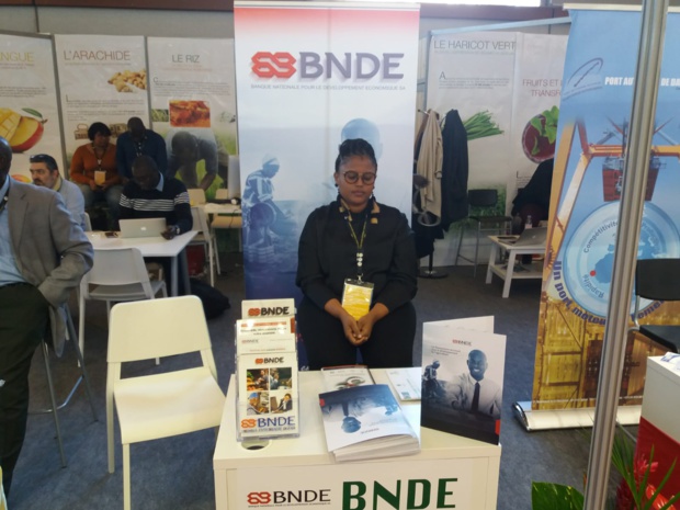 SALON INTERNATIONAL DE L’AGRICULTURE 2019 : La BNDE vient partager son expertise, capter les porteurs de projets et nouer des partenariats techniques et financiers