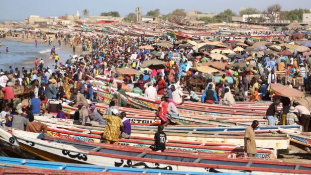 Sénégal : Un officiel salue la contribution de la pêche à l’économie maritime nationale