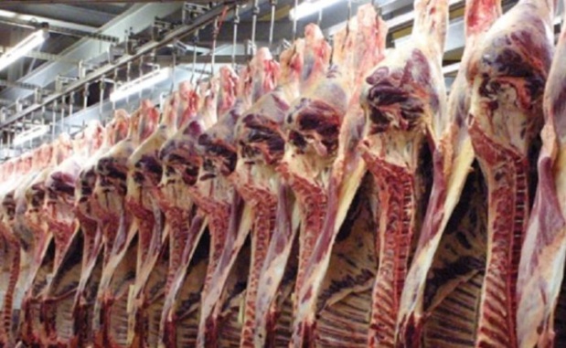 Sénégal : Contraction de l’activité du secteur primaire en janvier 2019 Sénégal : Contraction de l’activité du secteur primaire en janvier 2019