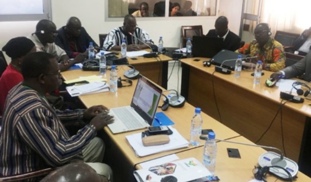 Promotion d’une agriculture innovante : La Fao s’engage à soutenir le Coraf Promotion d’une agriculture innovante : La Fao s’engage à soutenir le Coraf