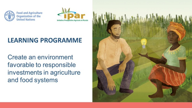 Investissement responsable dans l’agriculture : La Fao lance un nouveau programme d’apprentissage Investissement responsable dans l’agriculture : La Fao lance un nouveau programme d’apprentissage