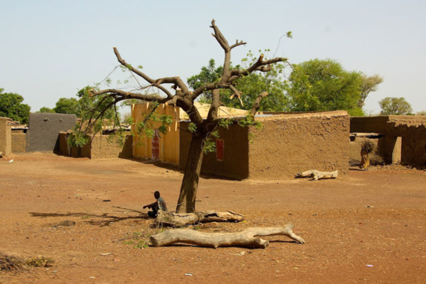 Photo : PAM / Alexandre Brecher-Dolivet Un village dans la région de Mopti, dans le centre du Mali (archive) Photo : PAM / Alexandre Brecher-Dolivet Un village dans la région de Mopti, dans le centre du Mali (archive)