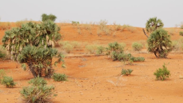 Lutte contre le changement climatique : Appel à une recapitalisation des fonds d’investissement climatique Lutte contre le changement climatique : Appel à une recapitalisation des fonds d’investissement climatique