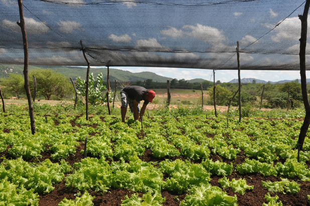 Gouvernement de l'Etat de Paraiba Un projet de la Banque mondiale veut encourager l'agriculture durable au Brésil. Gouvernement de l'Etat de Paraiba Un projet de la Banque mondiale veut encourager l'agriculture durable au Brésil.