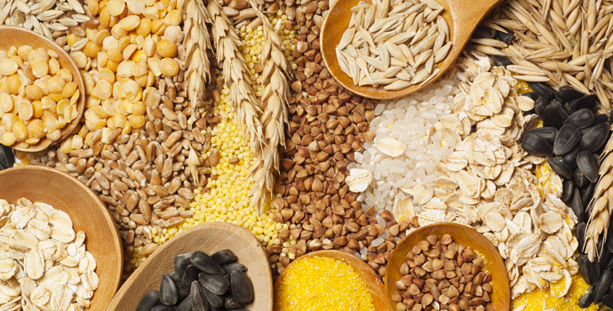 Céréales : L’offre mondiale estimée  à 3425,8 millions de tonnes
