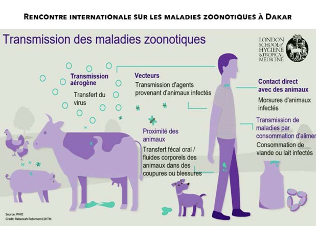 Evaluation conjointe des risques de zoonoses : Le personnel de la Fao, de l’Oie et de l’Oms outillé Evaluation conjointe des risques de zoonoses : Le personnel de la Fao, de l’Oie et de l’Oms outillé