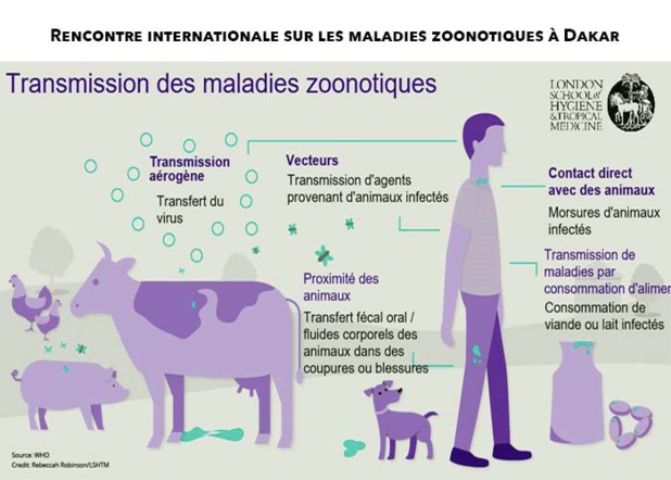 Evaluation conjointe des risques de zoonoses :  Le personnel de la Fao, de l’Oie et de l’Oms outillé