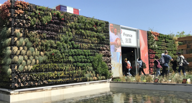Exposition internationale horticole de Beijing : Le Sénégal de la partie Exposition internationale horticole de Beijing : Le Sénégal de la partie