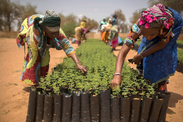 L’ONU appelle à protéger les écosystèmes de la planète, plus menacés que jamais