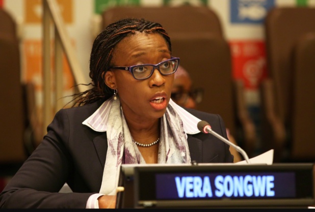 Intervention en Afrique : Les chefs des Institutions des Nations Unies harmonisent leurs positions