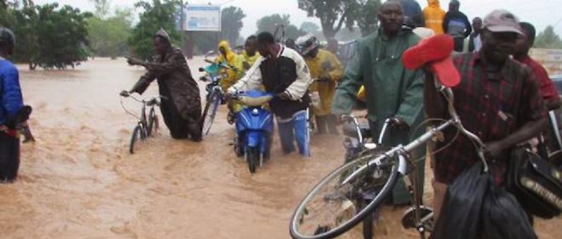 Lutte contre le changement climatique : La BAD invitée à accorder une attention soutenue Lutte contre le changement climatique : La BAD invitée à accorder une attention soutenue
