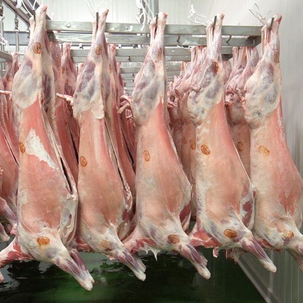 Sénégal : Repli du secteur primaire au mois de Mai 2019 Sénégal : Repli du secteur primaire au mois de Mai 2019