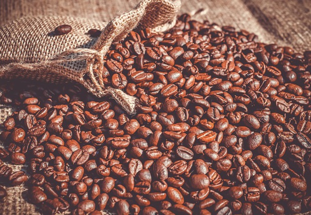 La production mondiale de café est attendue à environ 10,065 millions de tonnes pour la campagne caféière 2018/2019