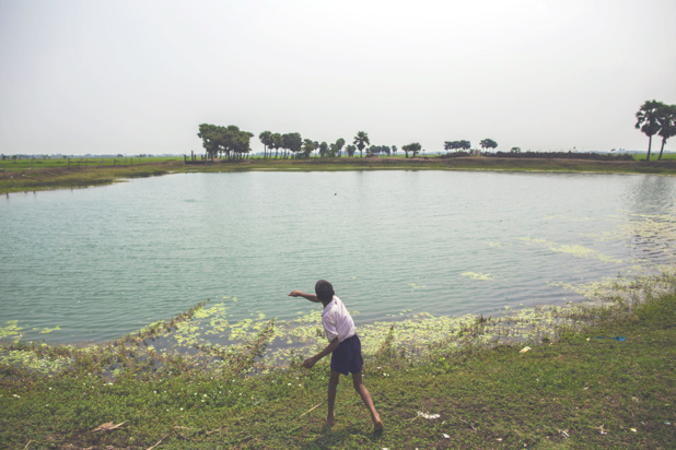 Photo PNUD Inde/Prashanth Vishwanatha Un étang dans le village de Dhokandpur, en Inde, collecte l'eau de pluie qui est ensuite utilisée par les villageois uniquement pour boire.