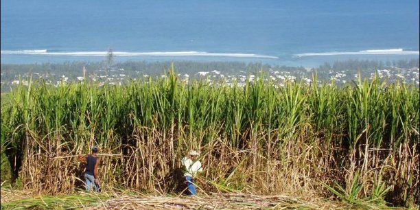 Industries alimentaires : Très fort  abaissement de l’activité de fabrication de sucre